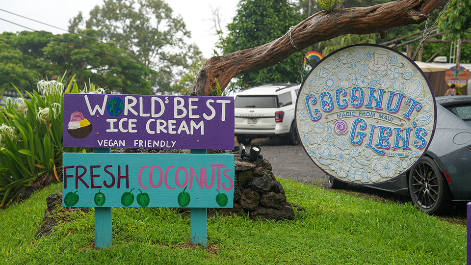 Best Things to Do on Maui with Kids Ice Cream Coconut Glens