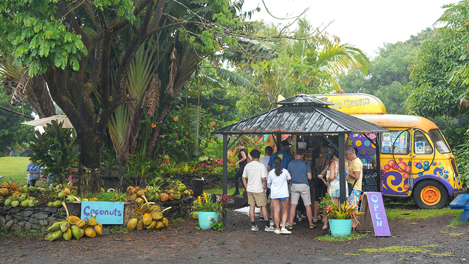 Best Things to Do on Maui with Kids Ice Cream Coconut Glens