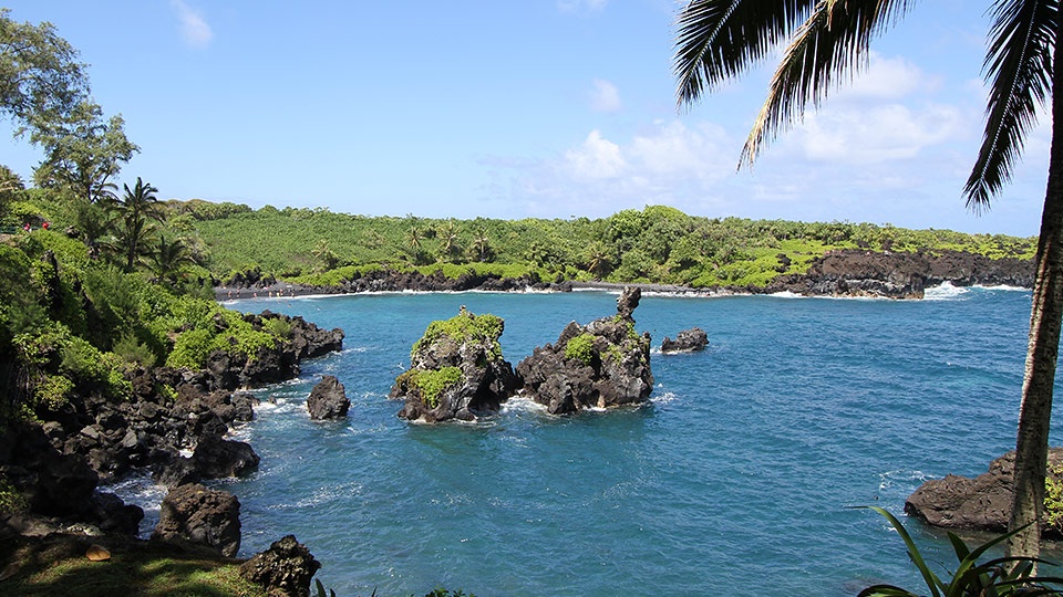 Best Maui Free Activity History