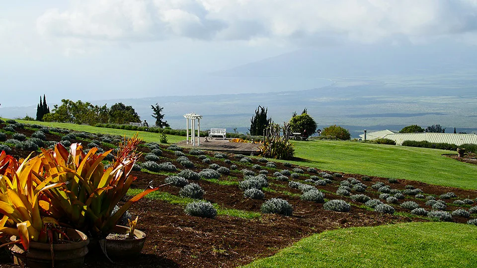 Best Things For Seniors to Do on Maui