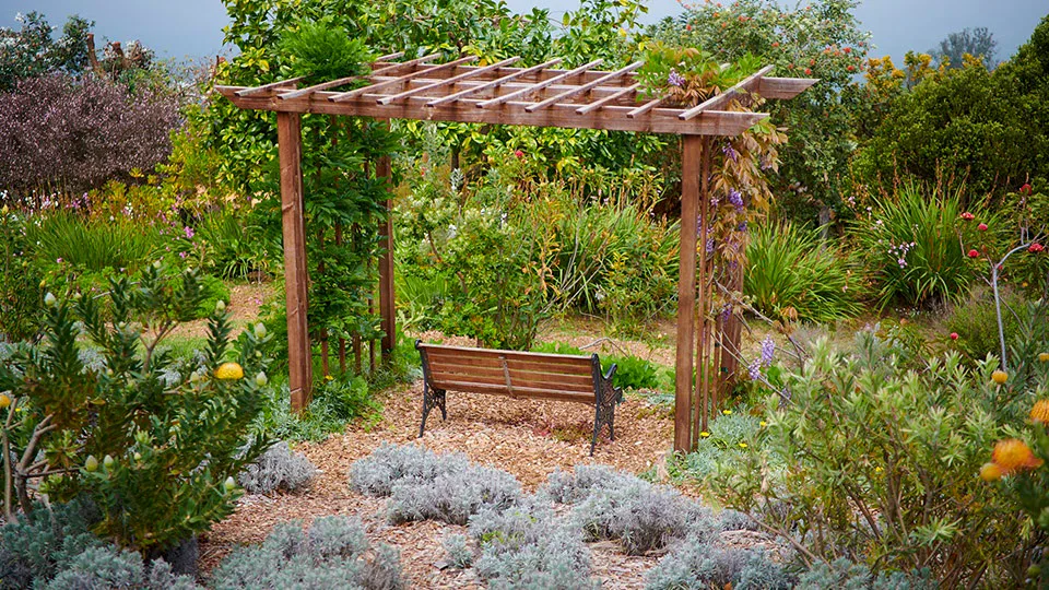 Best Things For Seniors to Do on Maui