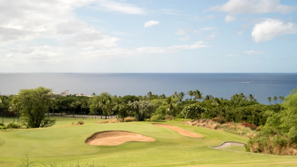 Maui Senior Activities