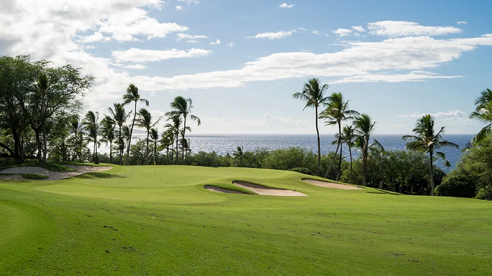 Maui Senior Activities