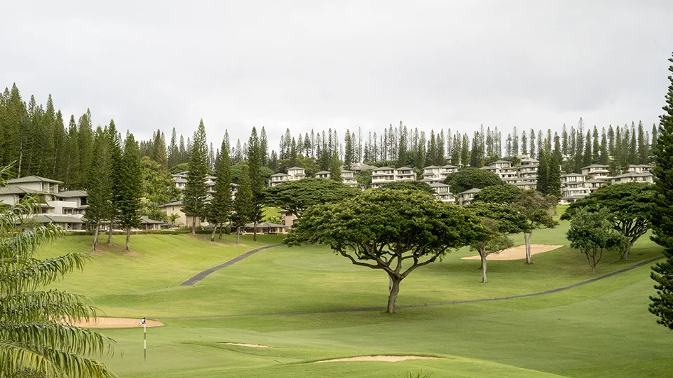 Maui Senior Activities