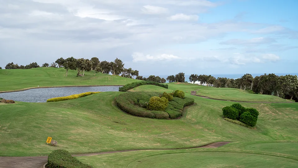 Maui Senior Activities