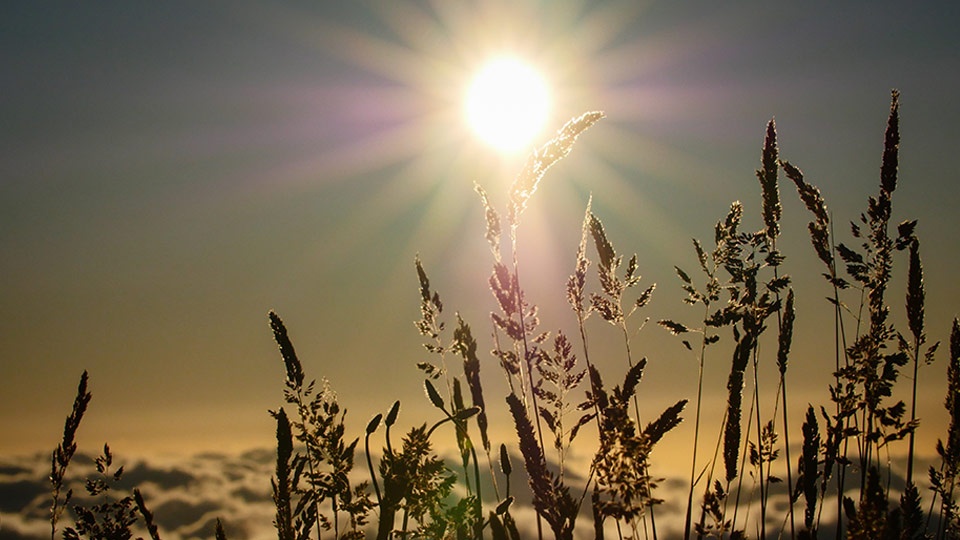 Best Maui Activities Sunrise Haleakala