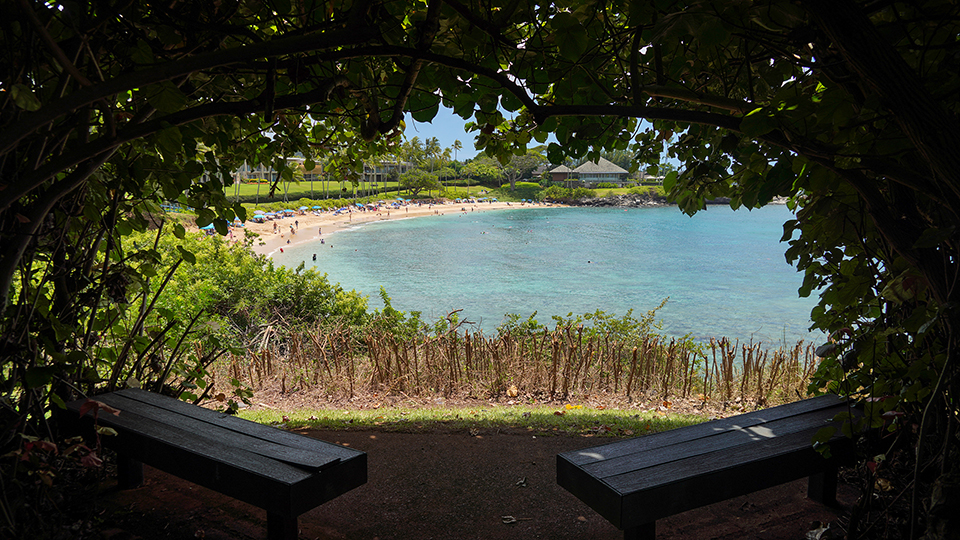 Best Maui Beach Kapalua