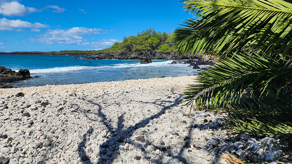 Best Maui Beach La Perouse Bay