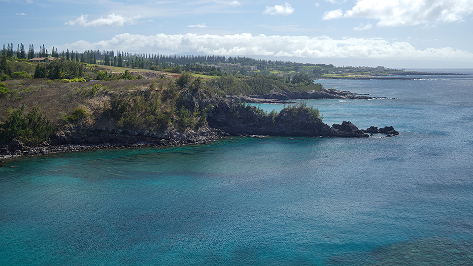 Maui Hawaii Best Snorkel Honolua Bay