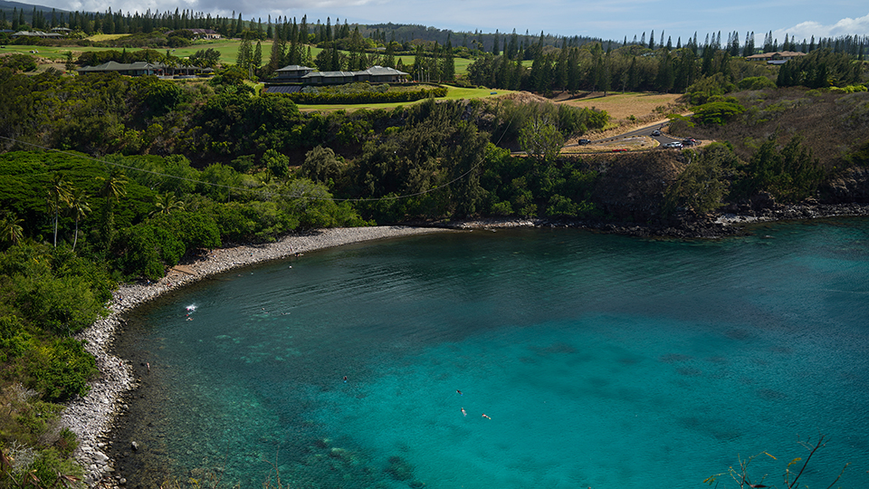Best Maui Beach Honolua Bay