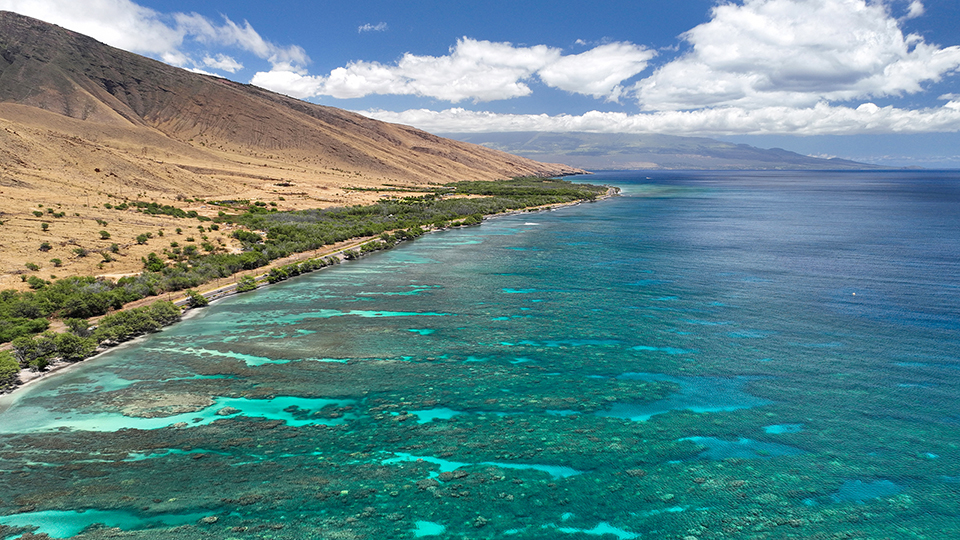 Best Maui Beach Olowalu