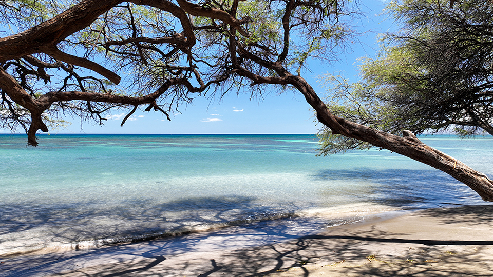 Best Maui Beach Olowalu
