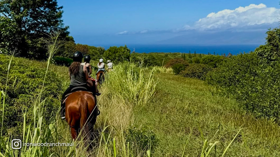 Napili Kapalua Activities Horseback Tour at Ironwood Ranch