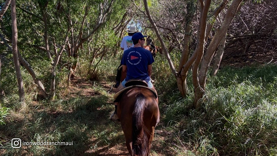 Napili Kapalua Activities Horseback Tour at Ironwood Ranch