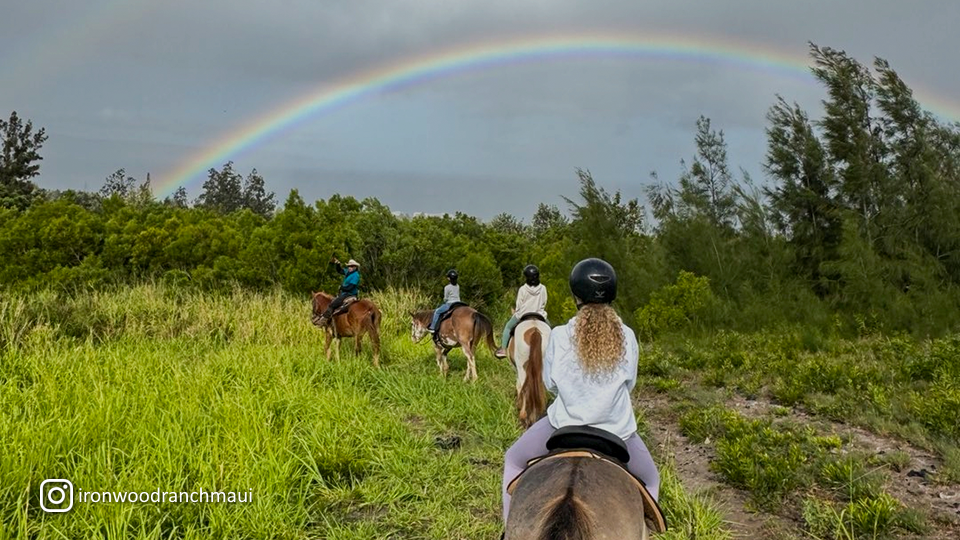 Napili Kapalua Activities Horseback Tour at Ironwood Ranch