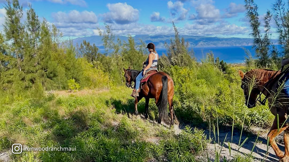 Napili Kapalua Activities Horseback Tour at Ironwood Ranch