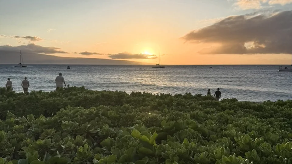 Maui Brewing Company Ka'anapali Best Burger on Maui