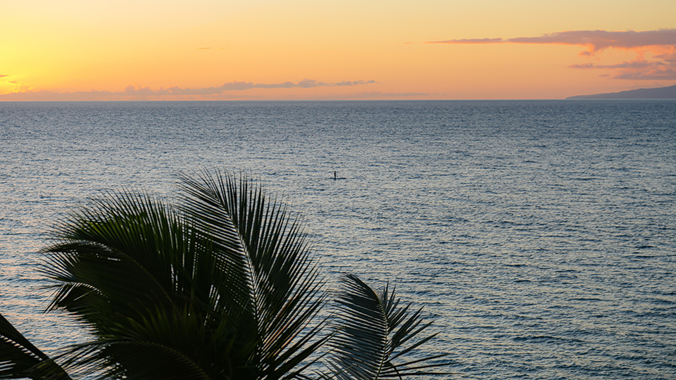Whale Spotted from Shore of Kamaole Beach 1