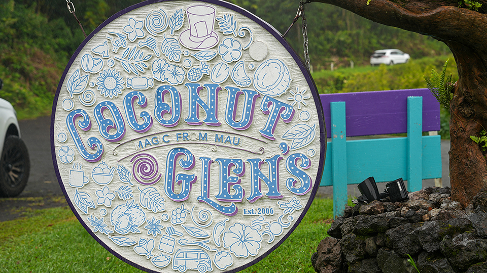 Best Road to Hana Stops Coconut Glen's Ice Cream