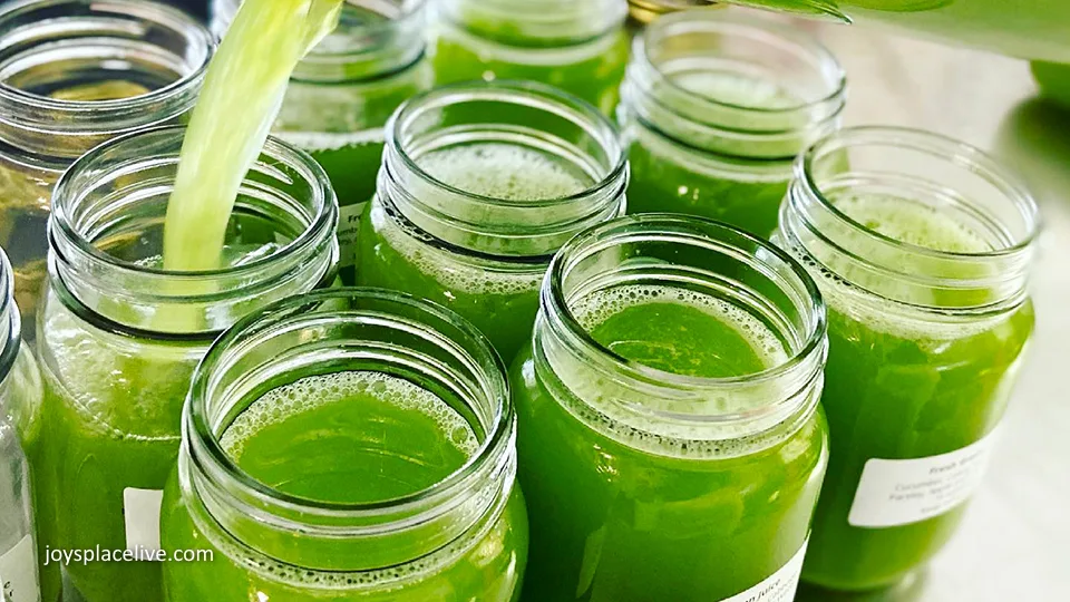 Joy's Place Live Vegetarian Restaurant Maui