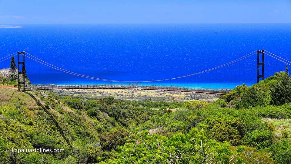 Best West Maui Acitivity Kapalua Zipline