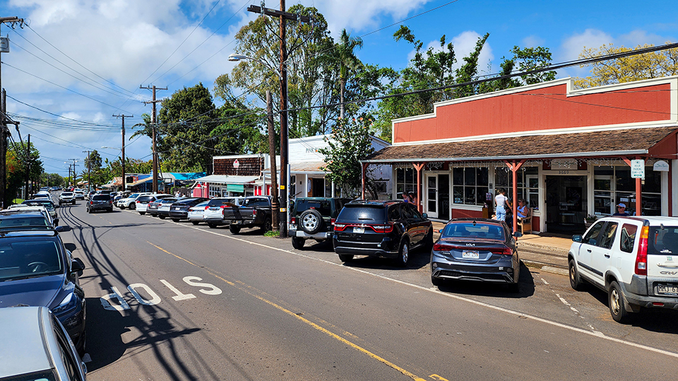 Best Maui Souvenirs Makawao