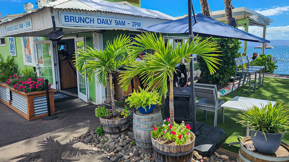 Best Maui Burgers Mala Ocean Tavern