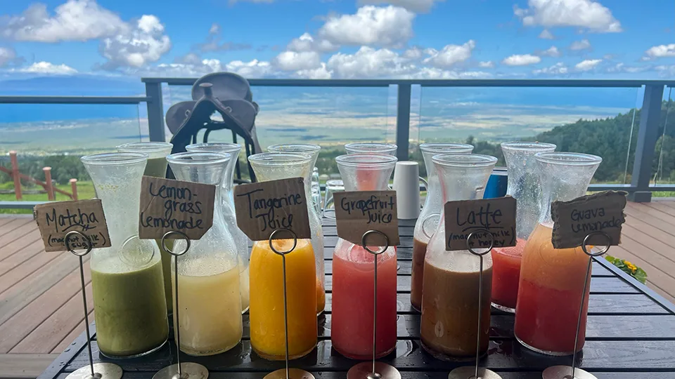 Best Vegetarian Food on Maui Moku Roots