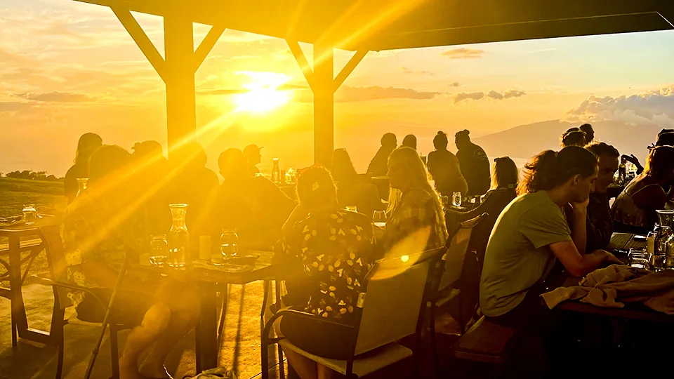 Best Vegetarian Food on Maui Moku Roots