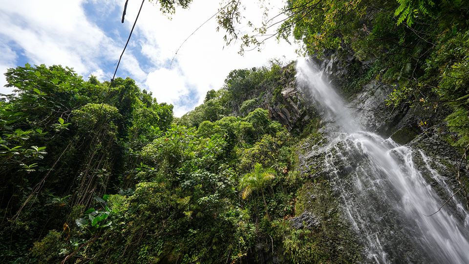 Best Road to Hana Stops in Maui Pipiwai Trail