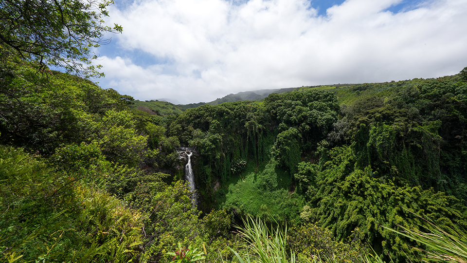 Best Road to Hana Stops in Maui Pipiwai Trail