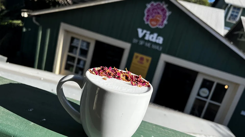 Best Coffee on Maui Vida by Sip Me Maui