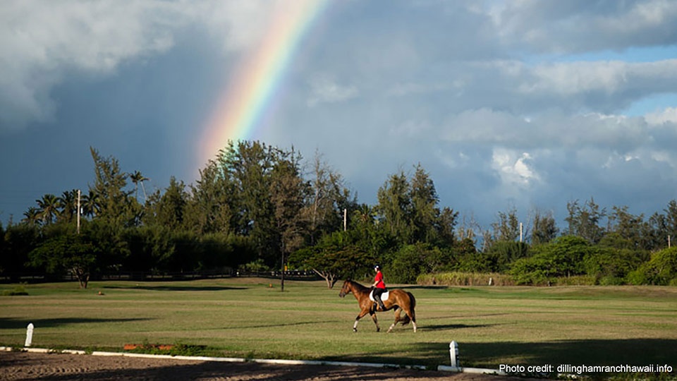 Dillingham Ranch Top Hawaii Wedding Location