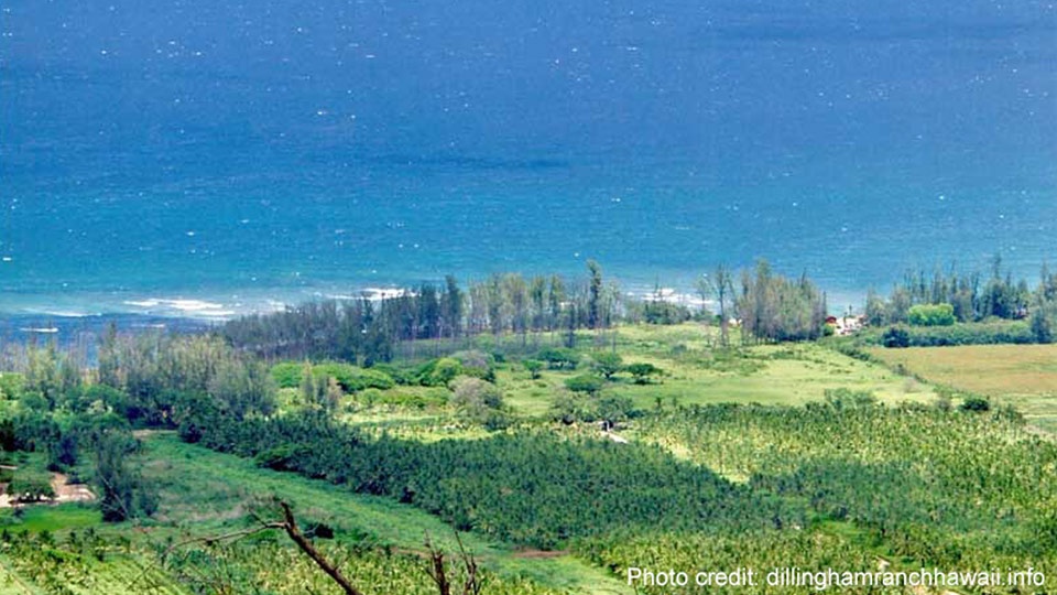 Dillingham Ranch Top Hawaii Wedding Location