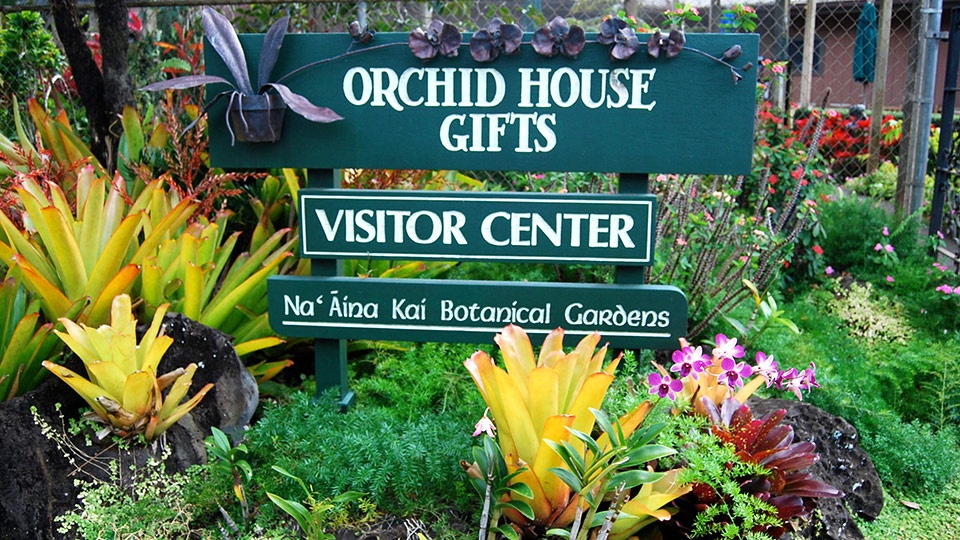 Botanical Gardens Wedding Location Kauai