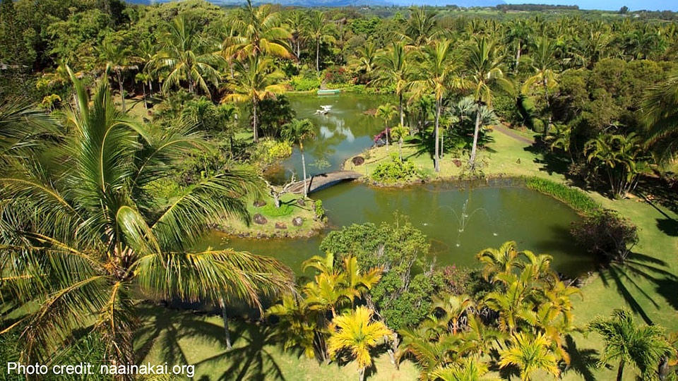 Botanical Gardens Wedding Location Kauai