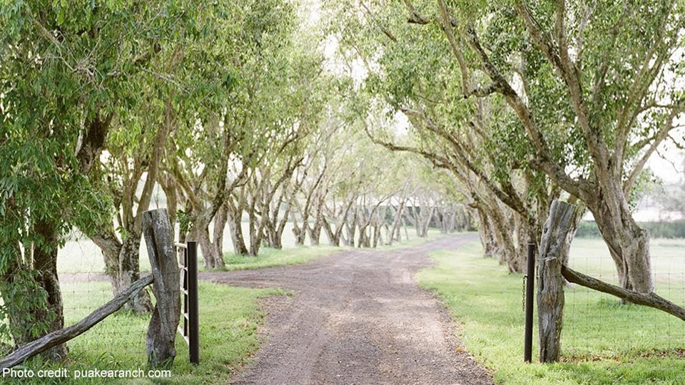 Best Hawaii wedding Location Big Island