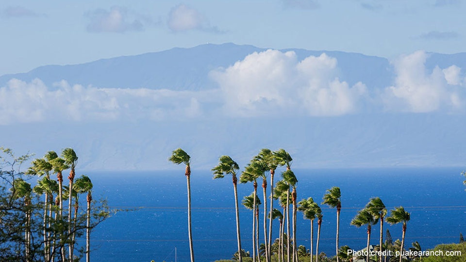 Best Hawaii wedding Location Big Island