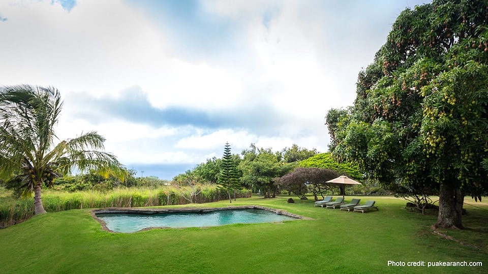 Best Hawaii wedding Location Big Island