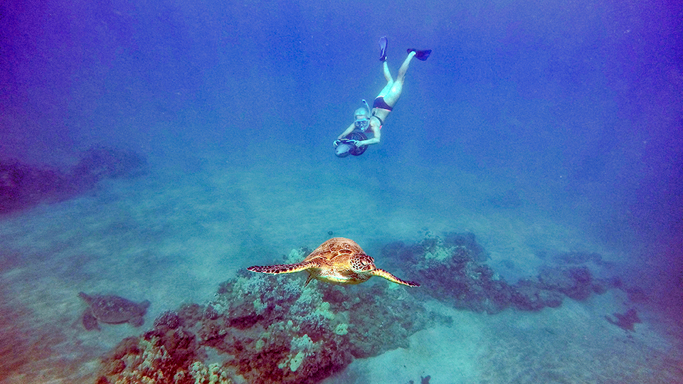 Best Maui Ocean Activities Scooter Scuba