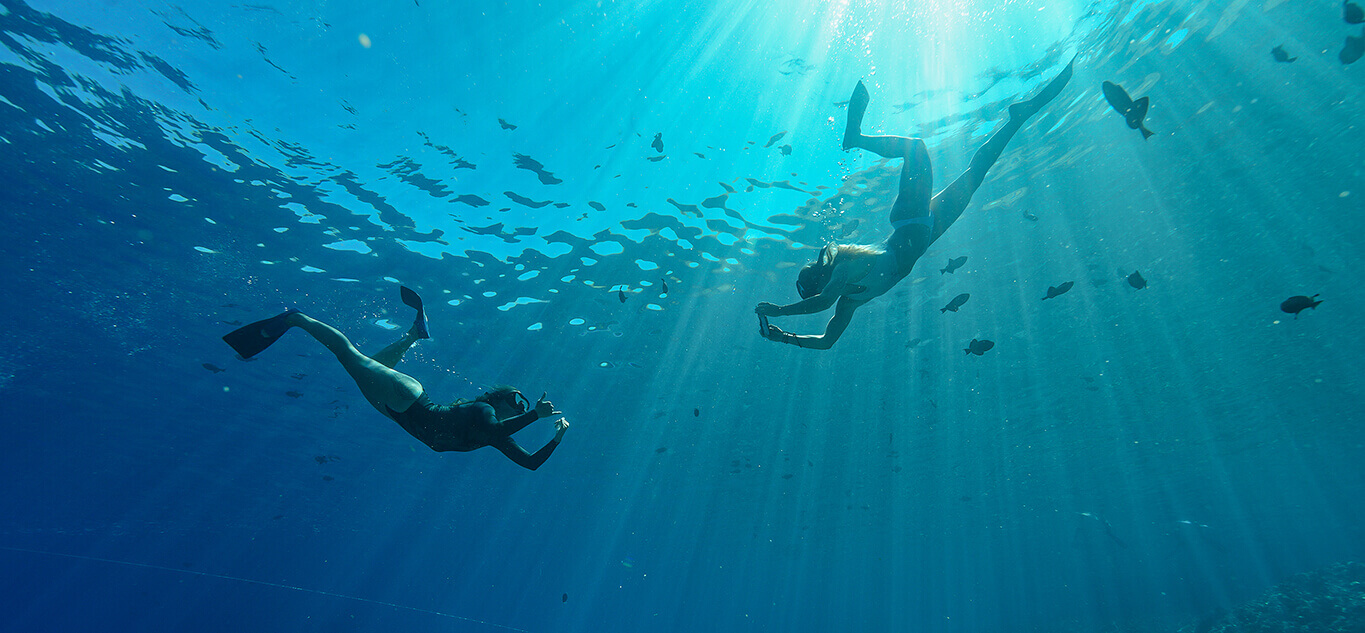 Snorkelers Taking Photos of Each Other Underwater