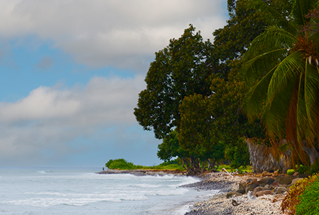 Top 10 Things To Do in Maalaea & Olowalu