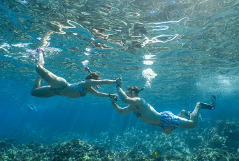 Best Snorkeling on Maui After Whale Season