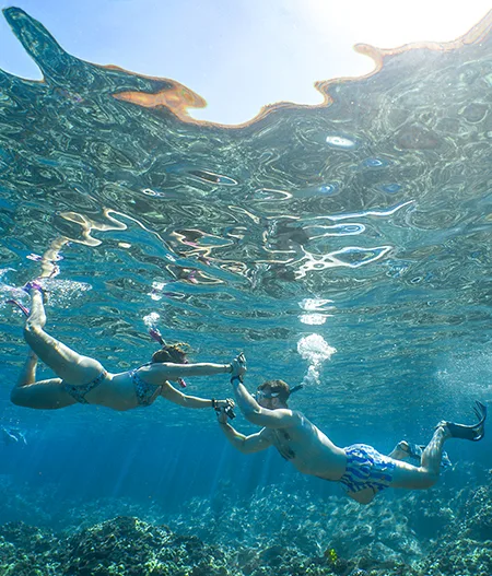 Best Snorkeling on Maui After Whale Season