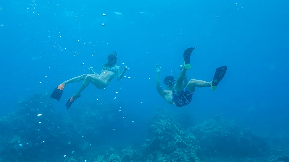 Two Guests Snorkeling on a Pride of Maui Snorkel Cruise