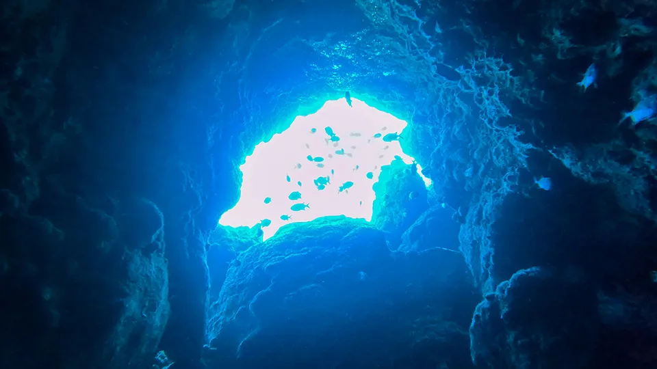 View through a hole in the Coral Reef