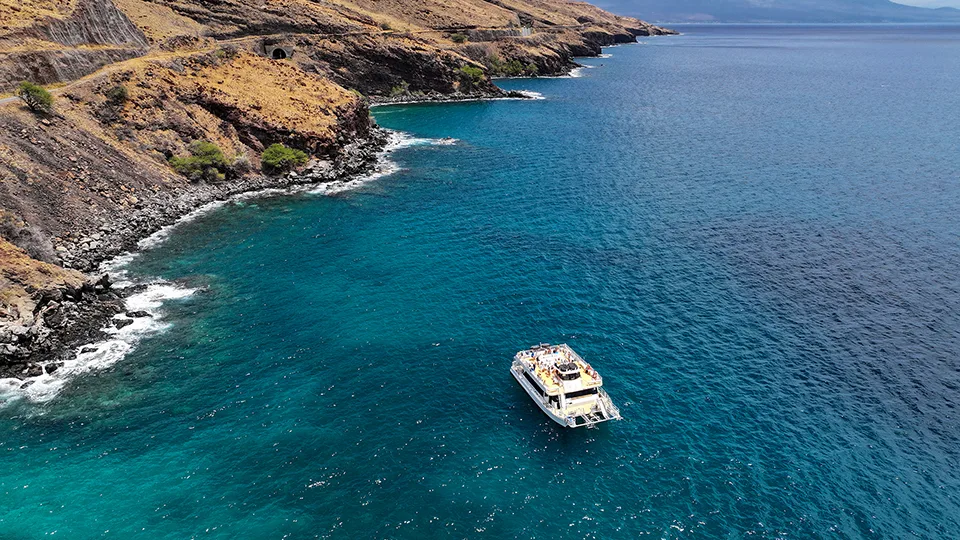 Pride of Maui in the Water near Maui