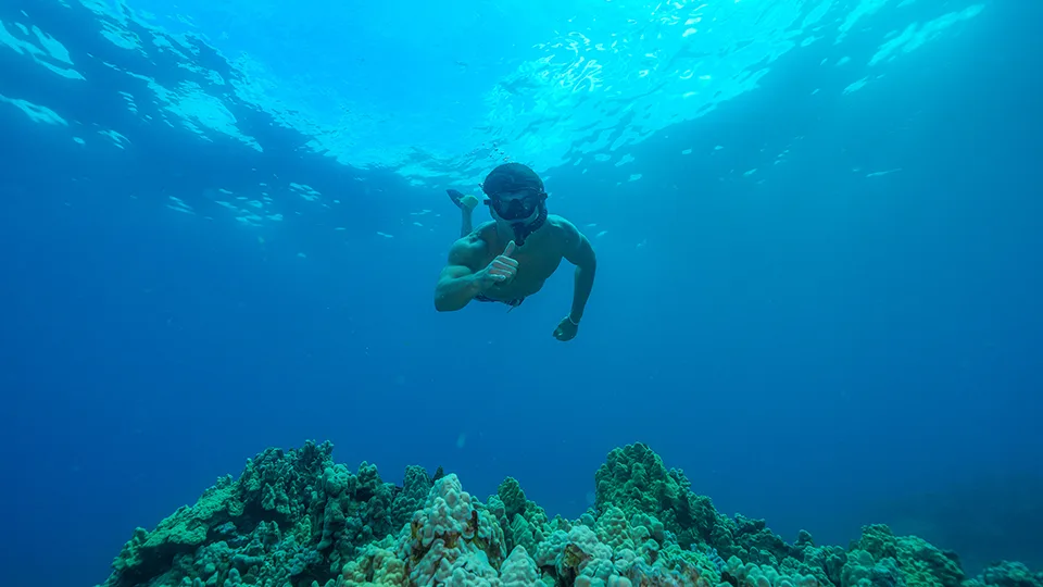Guest Snorkeling on a Pride of Maui 'Elua Snorkel Tour
