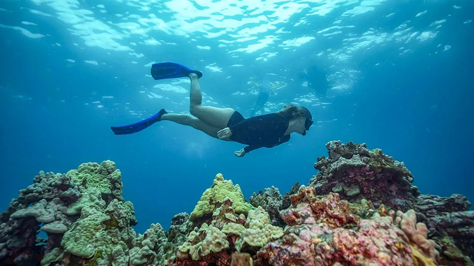 Guest Snorkeling over Coral on a Pride of Maui Snorkel Tour