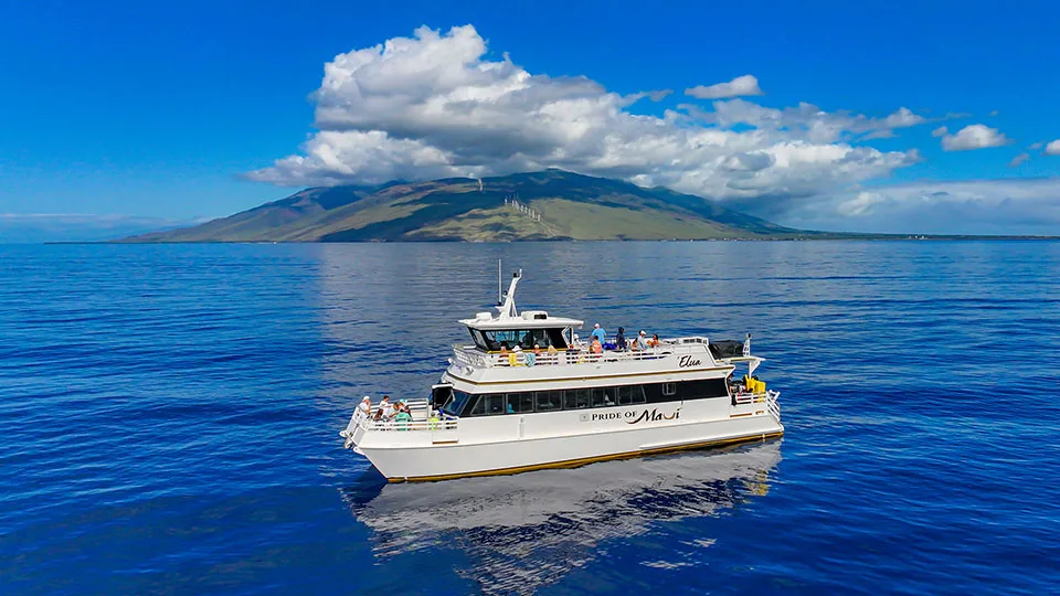 Pride of Maui 'Elua with Maui in the Distance